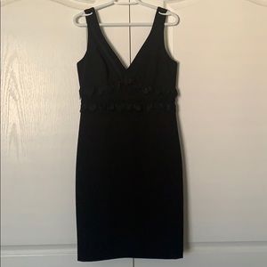EverNew Melbourne Black Dress. Worn once.
